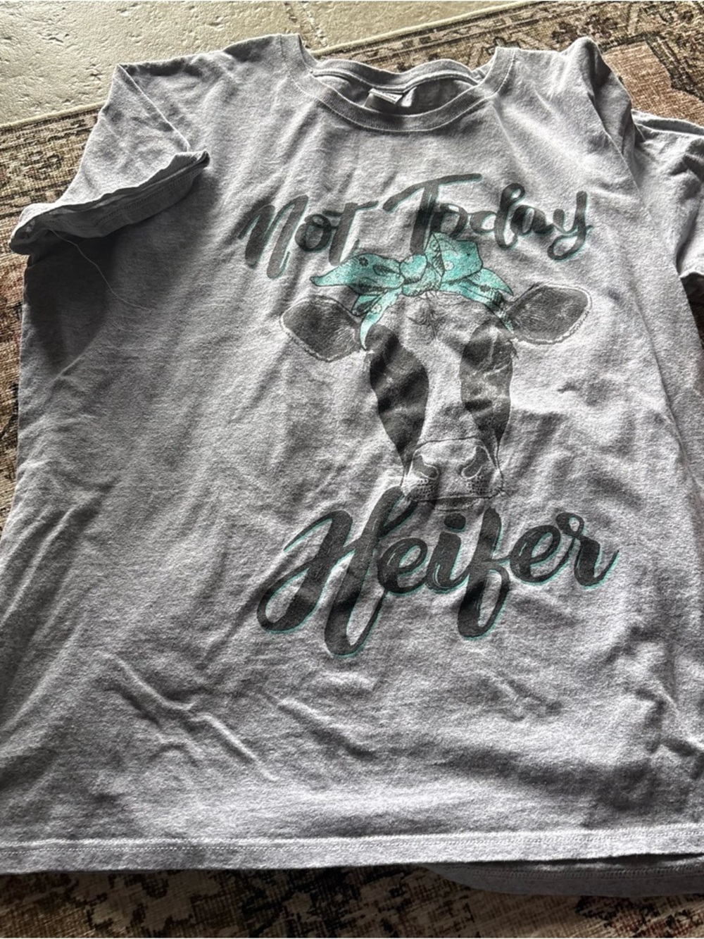 Gildan Gray Tee with Mint Graphic "Not Today Heifer"